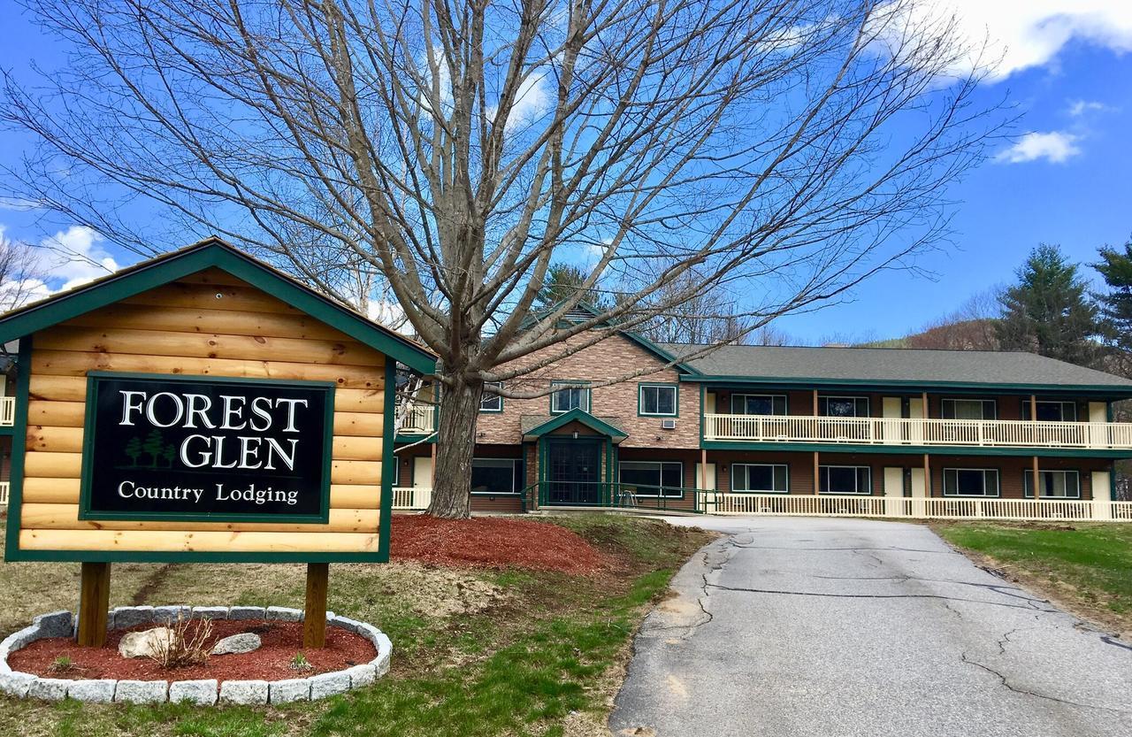 Forest Glen Inn North Conway Eksteriør billede